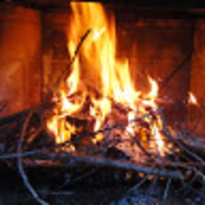 Meet your Posher, Sydnie